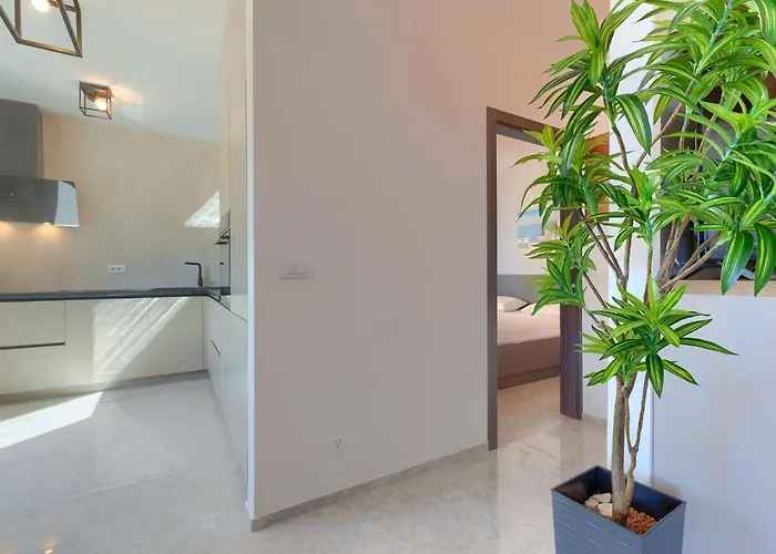 Wing 77 By Interhome